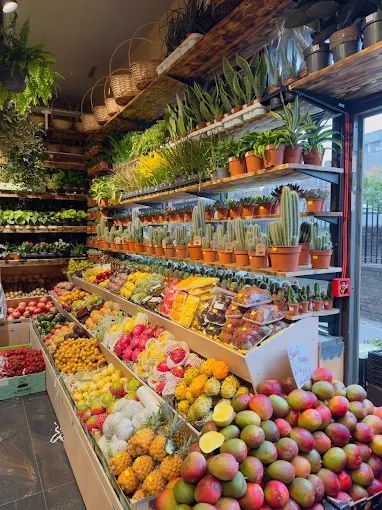 Specialist International Grocers in Essex For Sale for Sale