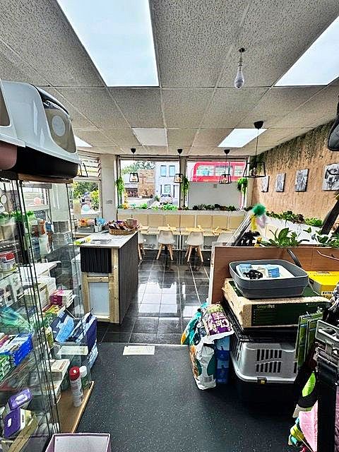 Pet Grooming and Shop plus Caf in Surrey For Sale for Sale