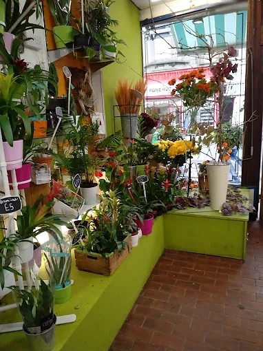 Buy a Old Established Florist in Kent For Sale